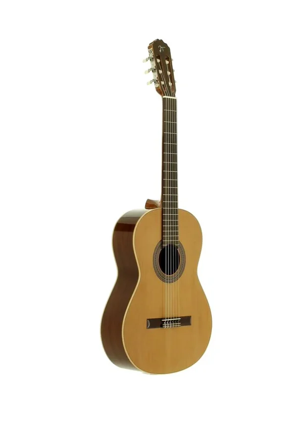 GUITARRA CLASICA JOSE TORRES JTC-10